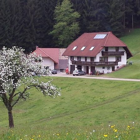 Ferienwohnung Ringwald Biederbach Luaran gambar
